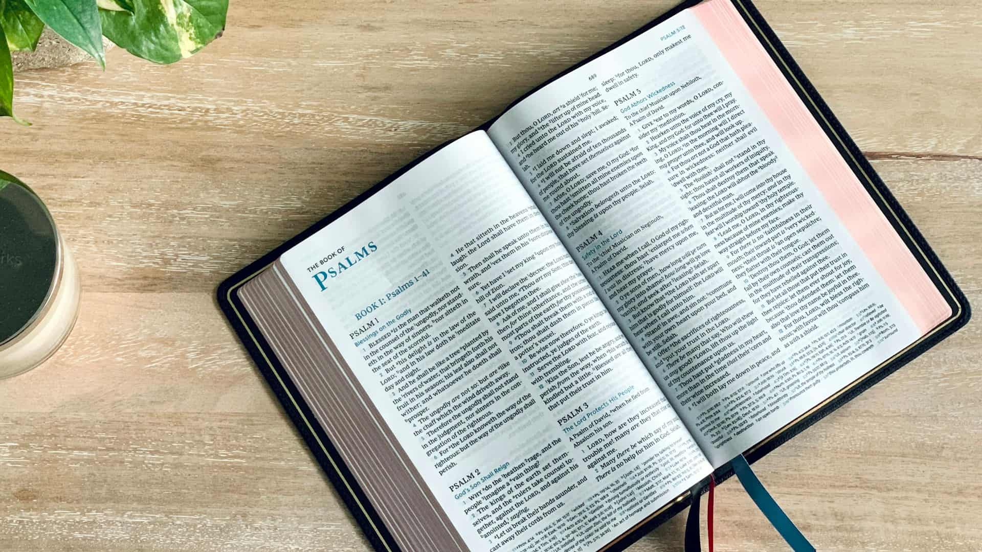 Una Biblia abierta en los Salmos sobre una mesa de madera clara, junto a una planta