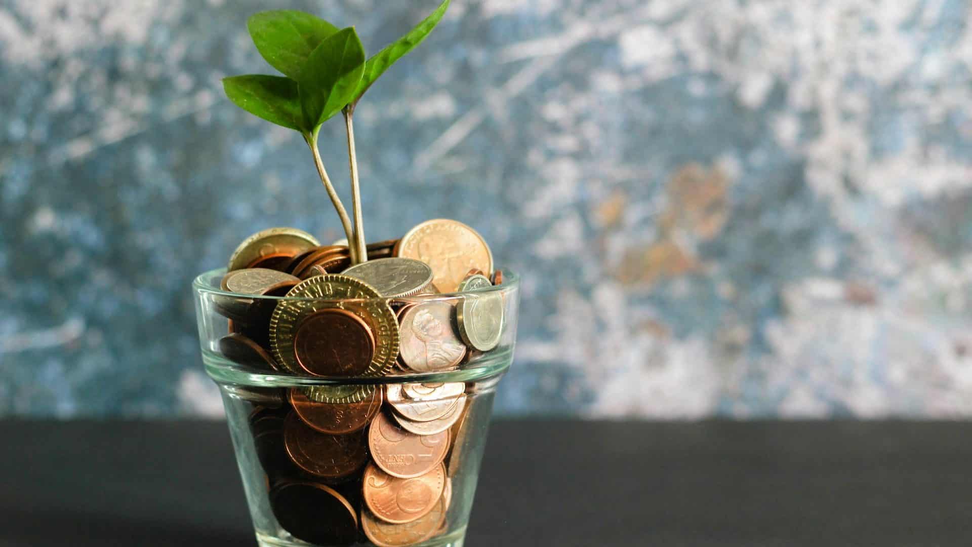 Um rebento verde a sair de um frasco de vidro cheio de moedas